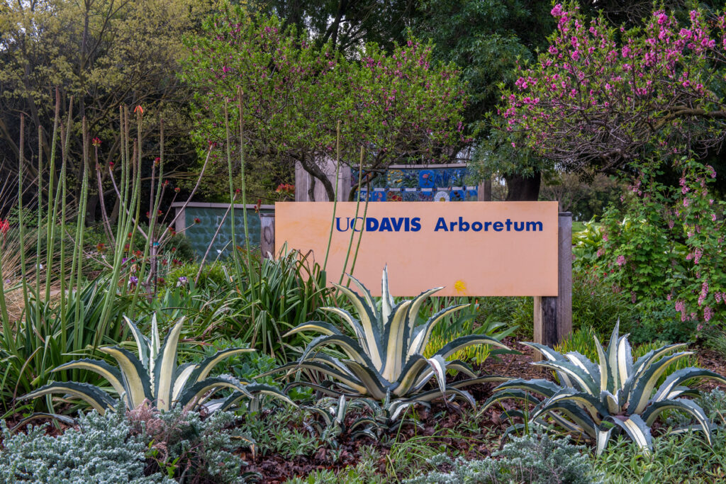 UC Davis Arboretum sign